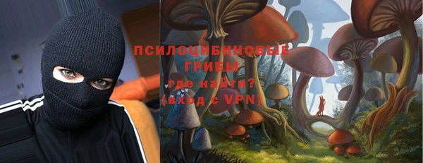 бошки Верхний Тагил