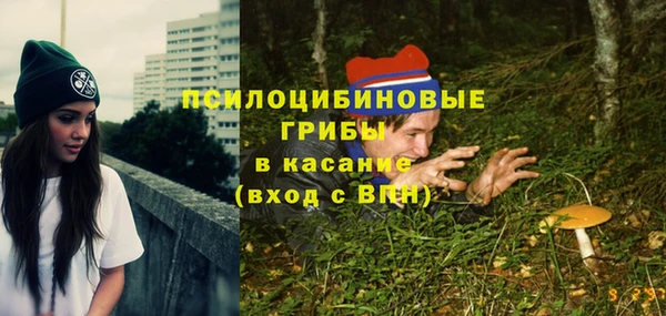 бошки Верхний Тагил