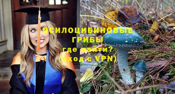 бошки Верхний Тагил