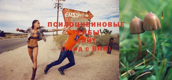 кокаин колумбия Верея